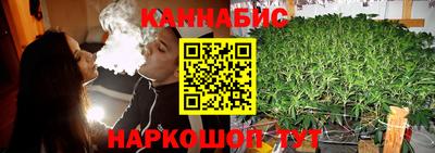 a pvp Аша