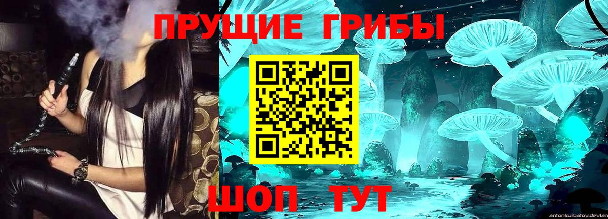Галлюциногенные грибы MAGIC MUSHROOMS Красный Сулин