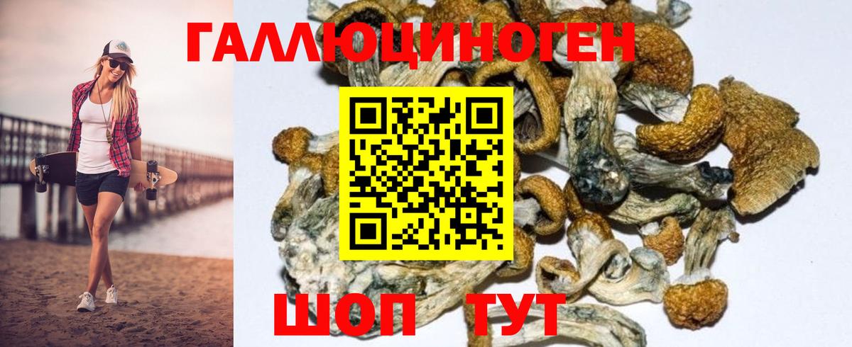 Псилоцибиновые грибы MAGIC MUSHROOMS  Псилоцибиновые грибы Magic Shrooms  Красный Сулин  Вход с VPN 